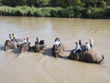 Anantara Golden Triangle Resort, Sop Ruak, Golden Triangle, Thailand, Southeast Asia - Party Travel