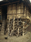 Buy Nocte Tribe House, Tirap Area, Arunachal Pradesh State, India at AllPosters.com
