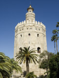 Torre Del Oro, El Arenal District, Seville, Andalusia, Spain, Europe