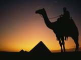 Buy Silhouette of Figure on Camelback at Pyramid, Giza, Cairo, Egypt, North Africa, Africa at AllPosters.com