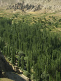 Star Wars Landscape, Selime Ilhara Valley, Cappadocia, Anatolia, Turkey Minor, Eurasia