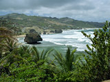 St. Joseph Parish Stacks on Bathsheba Beach, Barbados, Caribbean, West Indies, Central America
