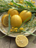 Buy Plate of Lemons and Mimosa Flowers at AllPosters.com