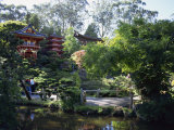 Japanese Tea Garden in the Golden Gate Park, San Francisco, California, USA