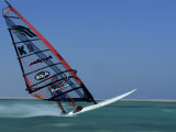 Buy Windsurfing at Speed, Red Sea, Egypt, North Africa, Africa at AllPosters.com