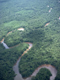 Buy Aerial View of the Meandering Belait River, Brunei, Island of Borneo at AllPosters.com