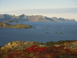 Buy Island of Senja Viewed from Sommeroy, Near Tromso, Arctic Norway, Scandinavia, Europe at AllPosters.com