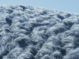 Buy Coastal Grasses in the Breeze, Ireland, Europe at AllPosters.com