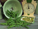 Buy Fresh Garden Peas in an Old Colander with Old Salter Scales and Seed Packet at AllPosters.com