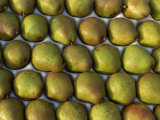 Buy Overhead View of Rows of Pears in Packaging at AllPosters.com