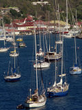 Buy Moored Sailing Boats in Gustavia Harbour, St. Barthelemy, Leeward Islands, West Indies at AllPosters.com