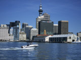 Buy Views of the City and Famous Tower from the Water, Auckland, North Island, New Zealand, Pacific at AllPosters.com