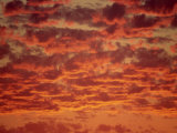 Buy Red and Orange Clouds at Sunset in South Africa, Africa at AllPosters.com