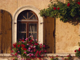 Window with Shutters and Window Box, Italy, Europe