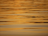 Buy Calm Water Reflecting Dusk Light, Tysfjord, Arctic Waters, Polar Regions at AllPosters.com