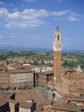 Mangia Tower and Buildings around the Piazza Del Campo in Siena, Tuscany, Italy