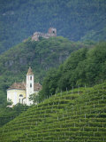 Church and Ruined Castle at Missiano, Caldero Wine District, Bolzano, Alto Adige, Italy, Europe