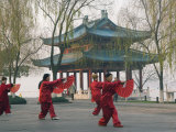 Buy Women Practising Tai Chi in Front of a Pavilion on West Lake, Hangzhou, Zhejiang Province, China at AllPosters.com