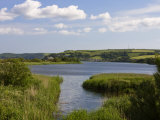 Slapton Ley, South Devon, England, United Kingdom, Europe