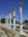 Asklepieion, Kos, Dodecanese, Greek Islands, Greece, Europe