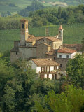 Tenuta La Volta, an Old Fortified Wine Cantina, Near Barolo, Piedmont, Italy, Europe
