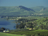 Tabgha, Sea of Galilee, Israel, Middle East