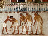 Harvesting Scene from the 18th Dynasty, Tomb of Menna, Tombs of the Nobles, Thebes, Egypt