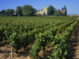 Alex-Corton, Burgundy, France, Europe