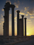 Sunrise on Main Street, Palmyra, UNESCO World Heritage Site, Syria, Middle East