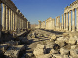 Cardo, Apamea, Syria, Middle East