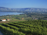 View of the Sea of Galilee, Zemakh Area, Israel, Middle East