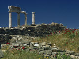 Temple of Apollo, Delos, UNESCO World Heritage Site, Greek Islands, Greece, Europe