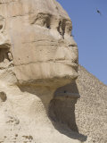 Sphinx, Giza, UNESCO World Heritage Site, Near Cairo, Egypt, North Africa, Africa