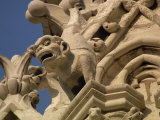 Gargoyles on Notre Dame Cathedral, Paris, France, Europe