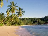 Takamata Beach, South Mahe Island, Seychelles, Indian Ocean, Africa