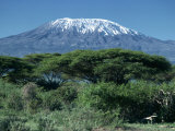 Mount Kilimanjaro, Tanzania, East Africa, Africa