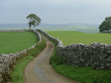 Rural Landscape and Road, Yorkshire, England, United Kingdom, Europe