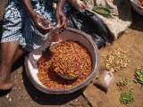 Woman Sorting Chili Peppers in a Metal Bowl, Ghana, West Africa, Africa