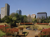 Harare Public Gardens, and City Skyline, Harare, Zimbabwe, Africa