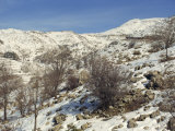 Snow Covered Landscape on Mount Hermon, Israel, Middle East