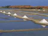 Salt Pans in Marshes, Ile De Re, Poitou Charentes, France, Europe