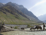 Mud, Pin Valley, Spiti, Himachal Pradesh, India