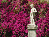 Statue and Bougainvillea in the Gardens, Casa De Pilatos, Seville, Andalucia, Spain
