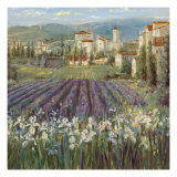 Provencal Village