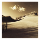 Buy Drifting Sands IV at AllPosters.com
