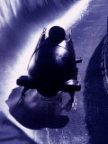 Silhouette of Bobsled in Action, Park City, Utah, USA