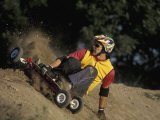 Buy Mountain Boarder in Action, Colorado Springs, Colorado, USA at AllPosters.com