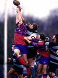 Buy Rugby Game Action at AllPosters.com