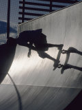 Buy Skateboarder in Action on the Vert at AllPosters.com