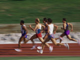 Buy Male Runners Competing in a Track Race at AllPosters.com